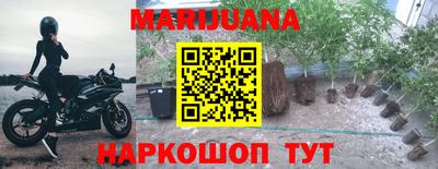 стаф Будённовск