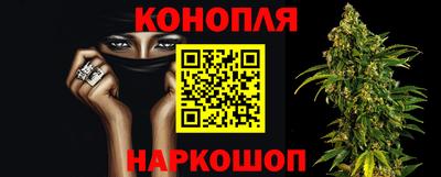 стаф Будённовск